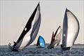 2025 US Melges 24 National Championship