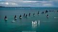 Biscayne Bay painted with nearly 60 Melges 24s and J/70s - Bacardi Winter Series 2026