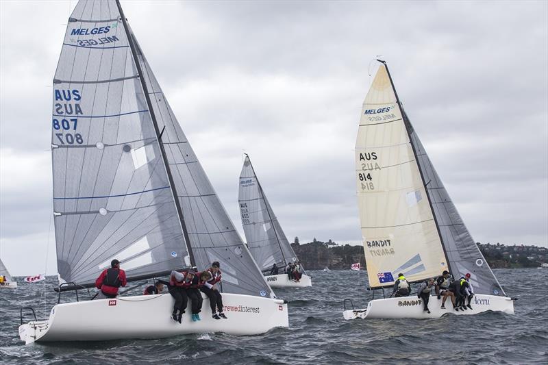 Accrewed Interest in the foreground at the Sydney Harbour Regatta photo copyright Andrea Francolini / MHYC taken at Middle Harbour Yacht Club and featuring the Melges 24 class