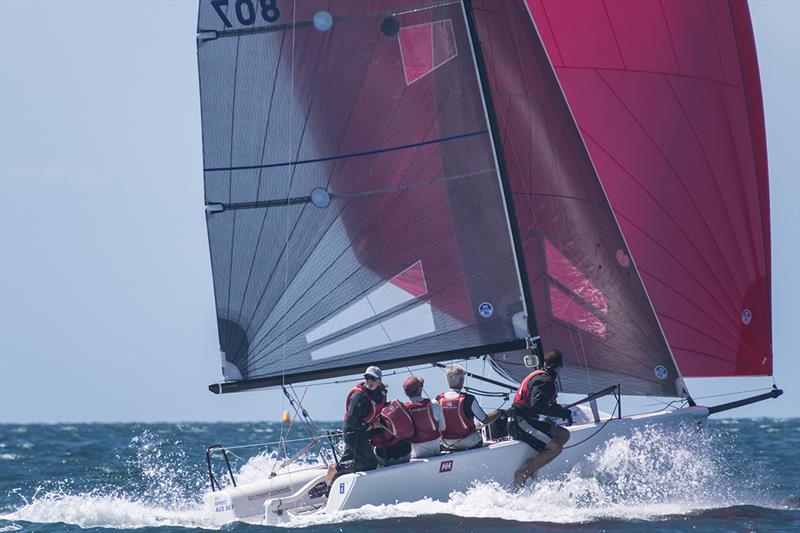 Andy Wharton's Accrewed Interest is the reigning champion - photo © Ally Graham
