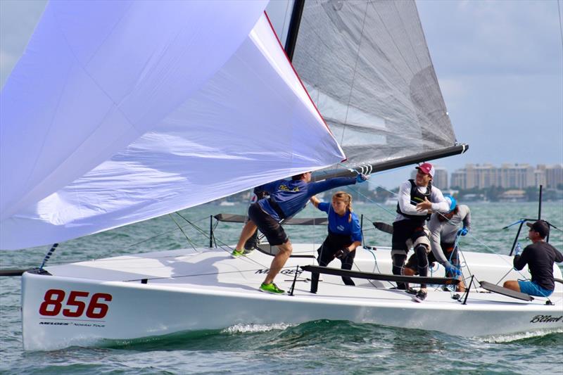 Crew choreography at the 2020 Melges 24 Winter Series - photo © Image courtesy of Kathleen Tocke 