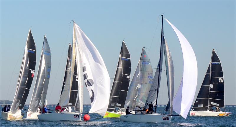 Bruce Ayres' Monsoon [USA 825] with crew Brian Porter, George Peet, Chelsesa Simms and America's Cup challenger Stars Stripes USA CEO/skipper Mike Buckley won the inaugural Bushwhacker Cup with scores of 2-1-2-5-1 for 11 points. - photo © Talbot Wilson