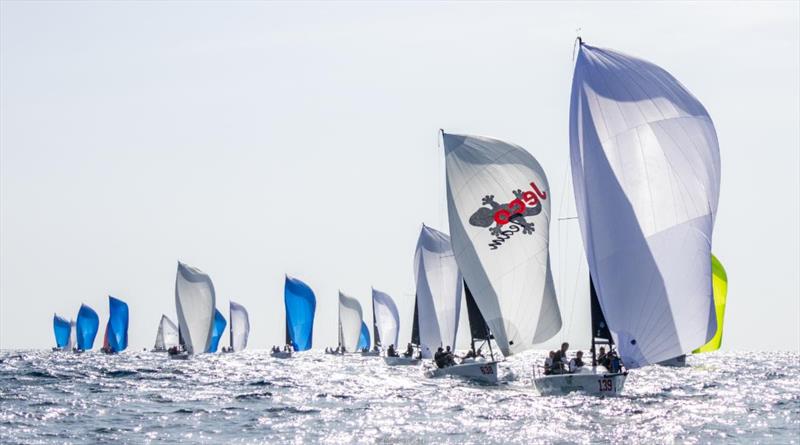 Melges 24 European Championship 2022 in Genoa photo copyright IM24CA / Zerogradinord taken at Yacht Club Italiano and featuring the Melges 24 class