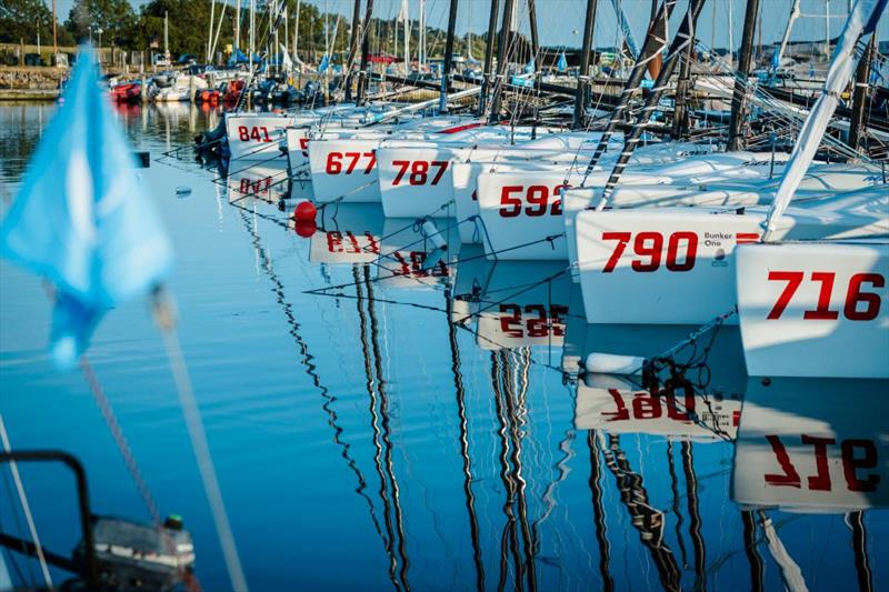 Melges 24 boats moored at the Middelfart Marina, Denmark for the Melges 24 Worlds 2023 photo copyright Mick Knive Anderson taken at  and featuring the Melges 24 class