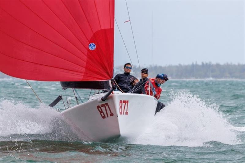 Peter McClennen's Gamecock currently leads all three major Melges 24 ranking circuits in North America - photo © Scott Trauth Photography