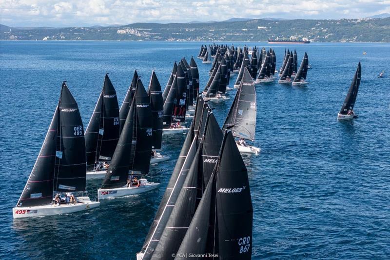 Numbers define the Melges Europeans