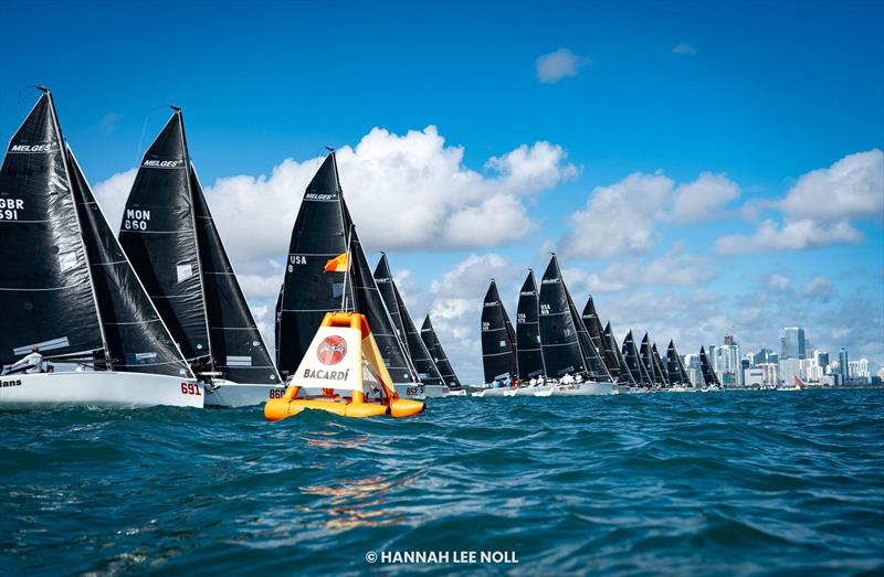 Melges 24 fleet at the North American Championship 2025, Bacardi Winter Series 2026 Event No 1 - Miami, FL, USA photo copyright Hannah Lee Noll taken at  and featuring the Melges 24 class