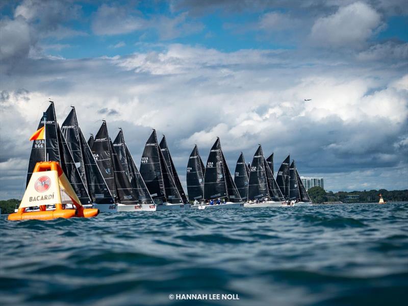 Melges 24 North American Championship 2025, Bacardi Winter Series 2026 Event No 1 - Miami, FL, USA photo copyright Hannah Lee Noll taken at  and featuring the Melges 24 class
