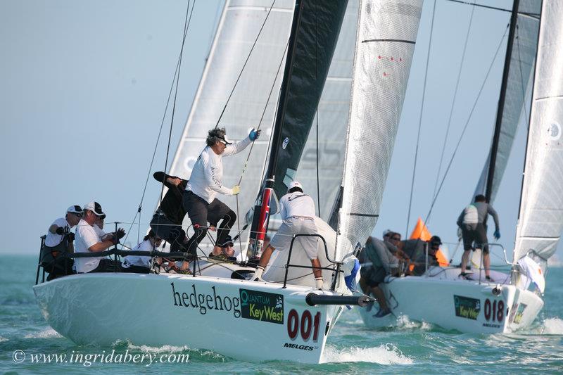 Quantum Key West Race Week 2015 day 3 - photo © Ingrid Abery / www.ingridabery.com