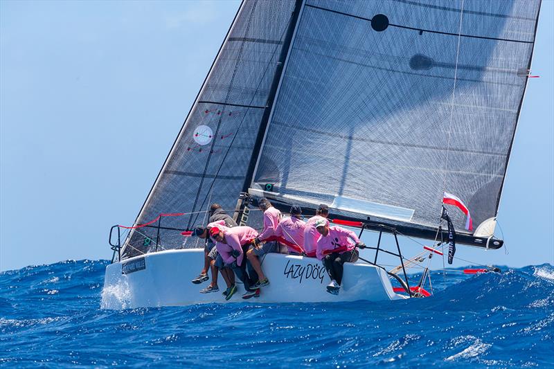 Lazy Dog - 2018 Les Voiles de Saint Barth Richard Mille - photo © Christophe Jouany