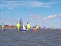 Merlin Rocket Craftinsure Silver Tiller at the Royal Norfolk & Suffolk Yacht Club Newcombe Cup © Jenny Riley