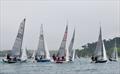 Helly Hansen Merlin Rocket Salcombe Week - Monday racing