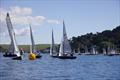 Helly Hansen Merlin Rocket Salcombe Week - Thursday racing