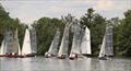The boats may not be in a line but the geese are during the Tamesis Craftinsure Silver Tiller and Rowsell Sails Thames Series &copy; Caroline Vines