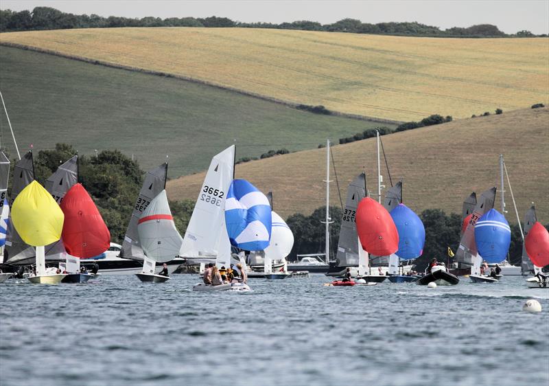 Salcombe Gin Merlin Rocket Week 2019 day 2 - photo © Mark Jardine / YachtsandYachting.com