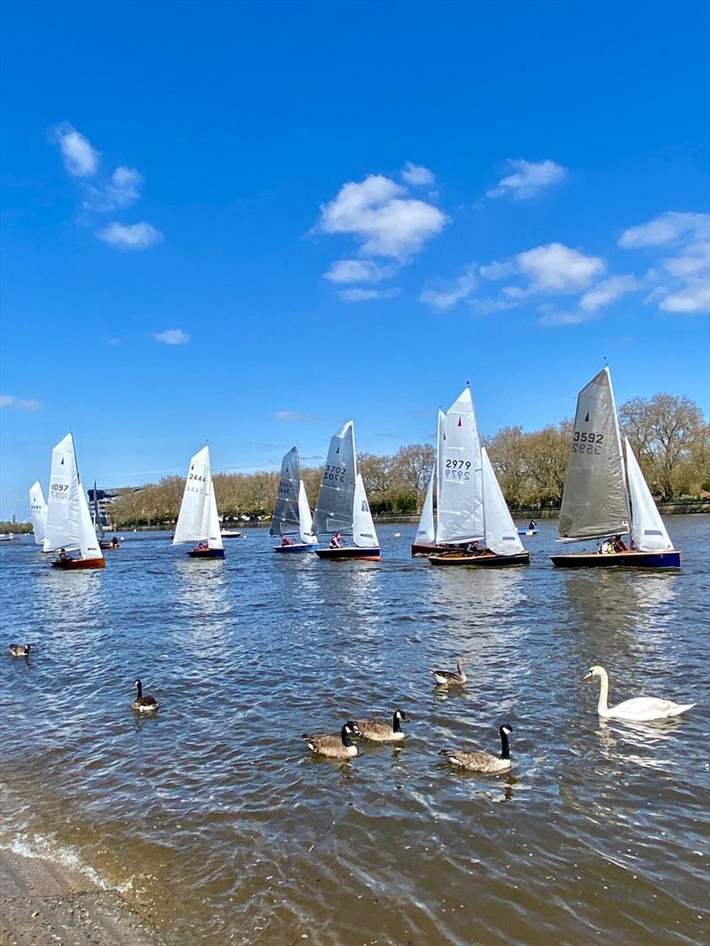 Ranelagh Merlin Open photo copyright Anne Lys Delelis-Fanien taken at Ranelagh Sailing Club and featuring the Merlin Rocket class