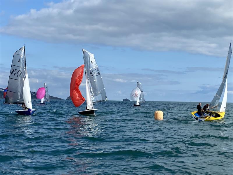 Merlin Rocket Craftinsure Silver Tiller Series at Paignton - photo © Andy Probert 