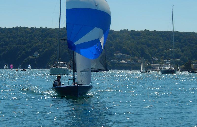 Day 3's afternoon race during Salcombe Gin Merlin Rocket Week 2019 photo copyright Malcolm Mackley taken at Salcombe Yacht Club and featuring the Merlin Rocket class