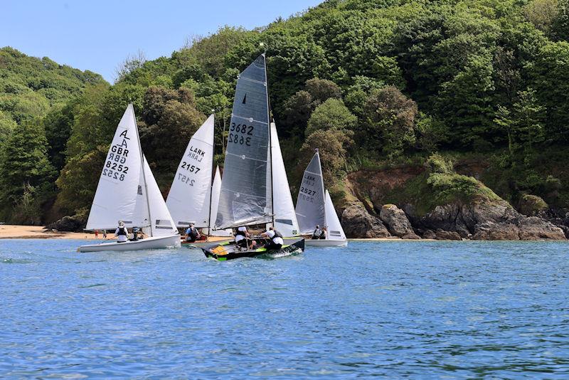 Salcombe YC Sailing Club Series race 6 photo copyright Lucy Burn taken at Salcombe Yacht Club and featuring the Merlin Rocket class