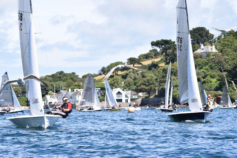 You don't need a drone to get a bird's eye (or even a gull's eye) view of the sailing at Salcombe photo copyright Dougal Henshall taken at Salcombe Yacht Club and featuring the Merlin Rocket class