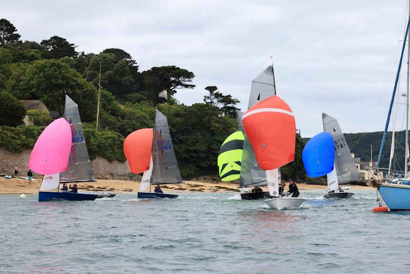 Salcombe Gin Merlin Rocket Week Day 2 - photo © Lucy Burn