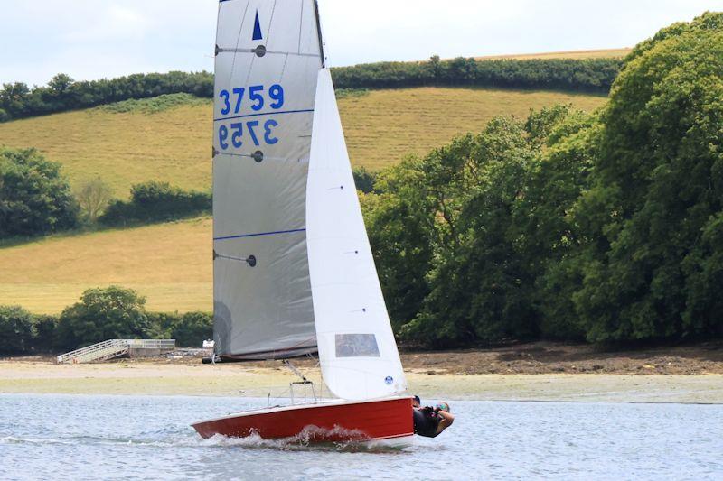 Salcombe Gin Merlin Rocket Week Day 3 - photo © Lucy Burn