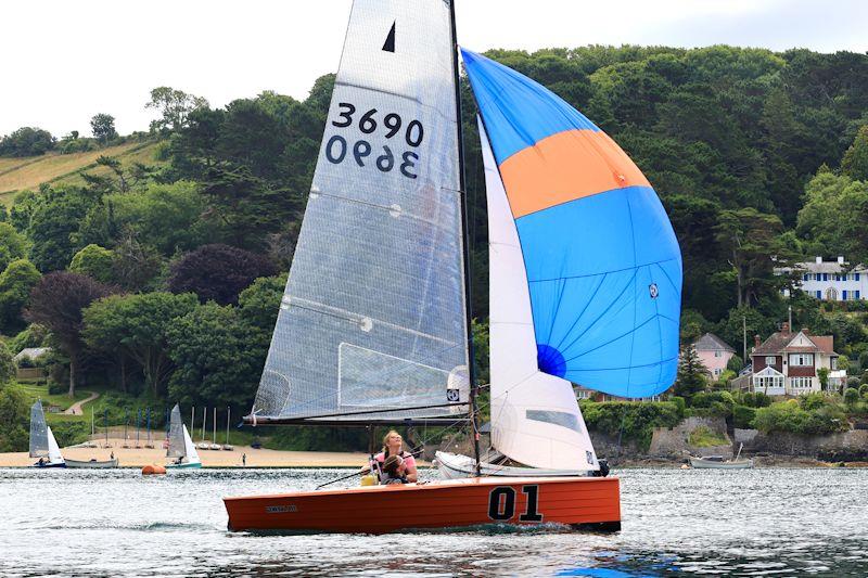 Salcombe Gin Merlin Rocket Week Day 3 photo copyright Lucy Burn taken at Salcombe Yacht Club and featuring the Merlin Rocket class