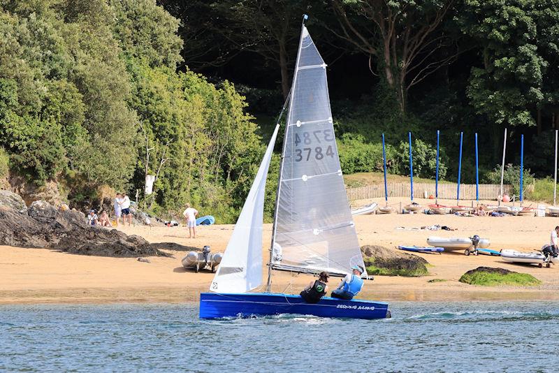 Salcombe Gin Merlin Rocket Week Day 4 photo copyright Lucy Burn taken at Salcombe Yacht Club and featuring the Merlin Rocket class