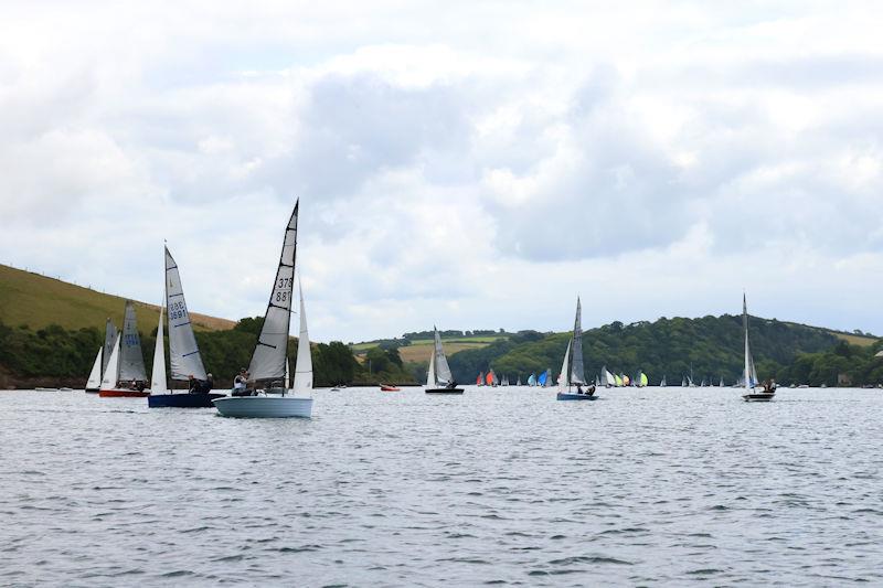 Salcombe Gin Merlin Rocket Week Day 4 photo copyright Lucy Burn taken at Salcombe Yacht Club and featuring the Merlin Rocket class