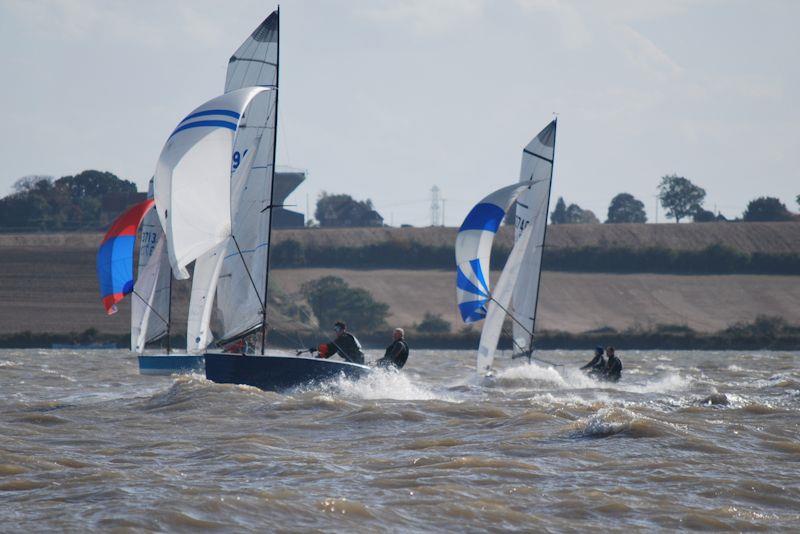 Craftinsure Silver Tiller for Merlin Rockets at Stone photo copyright Alice Crick taken at Stone Sailing Club and featuring the Merlin Rocket class