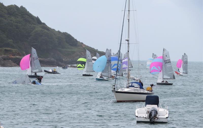 Salcombe Gin Merlin Rocket Salcombe Yacht Club Week Monday morning race - photo © Malcolm Mackley