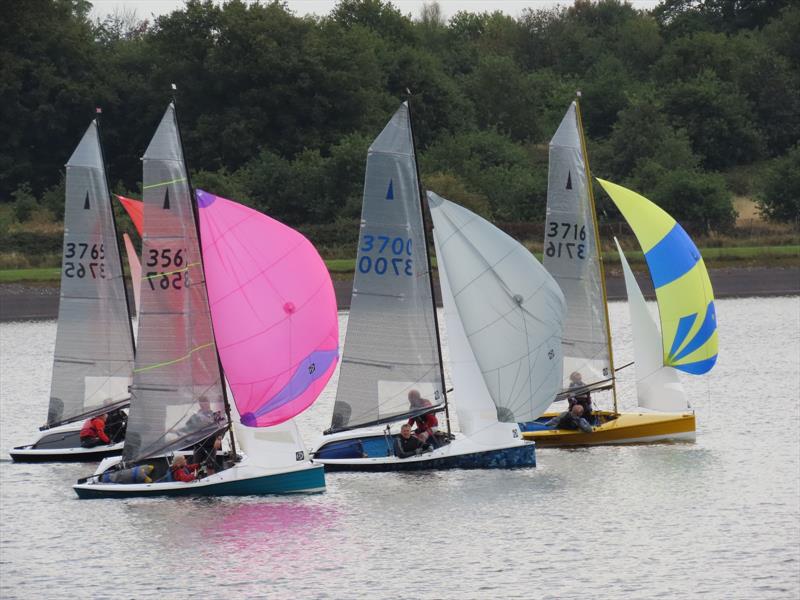 Bartley Merlin Rocket Craftinsure Silver Tiller, HD Sails Midland Circuit, Classis Series and Youth Championship photo copyright Andrea Hardiman taken at Bartley Sailing Club and featuring the Merlin Rocket class