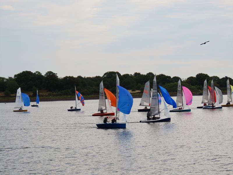 Bartley Merlin Rocket Craftinsure Silver Tiller, HD Sails Midland Circuit, Classis Series and Youth Championship photo copyright Andrea Hardiman taken at Bartley Sailing Club and featuring the Merlin Rocket class