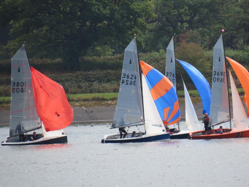 Bartley Merlin Rocket Craftinsure Silver Tiller, HD Sails Midland Circuit, Classis Series and Youth Championship photo copyright Andrea Hardiman taken at Bartley Sailing Club and featuring the Merlin Rocket class