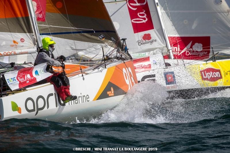 Mini-Transat La Boulangère 2019 - photo © Christophe Breschi / Mini-Transat La Boulangère 2019