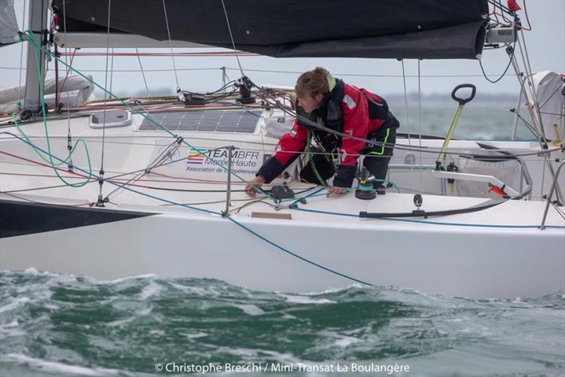 2019 Mini-Transat La Boulangère, Day 7 photo copyright Christophe Breschi / Mini-Transat La Boulangère taken at  and featuring the Mini Transat class