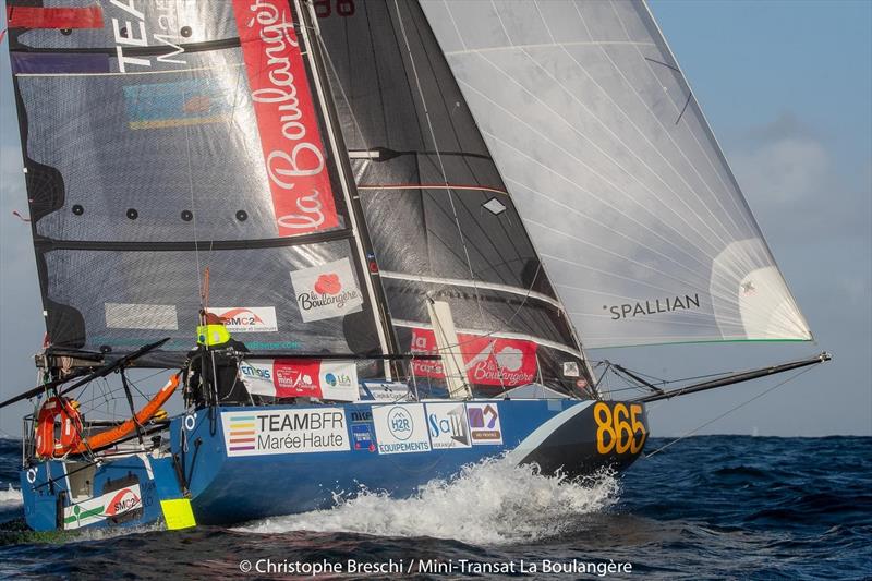 2019 Mini-Transat La Boulangère - photo © Christophe Breschi 