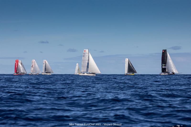 Mini Transat EuroChef 2021 Leg 2 photo copyright Vincent Olivaud taken at  and featuring the Mini Transat class