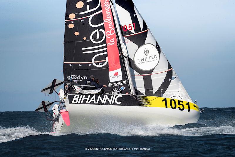 Composite Patch partners with the Mini Transat organisation for