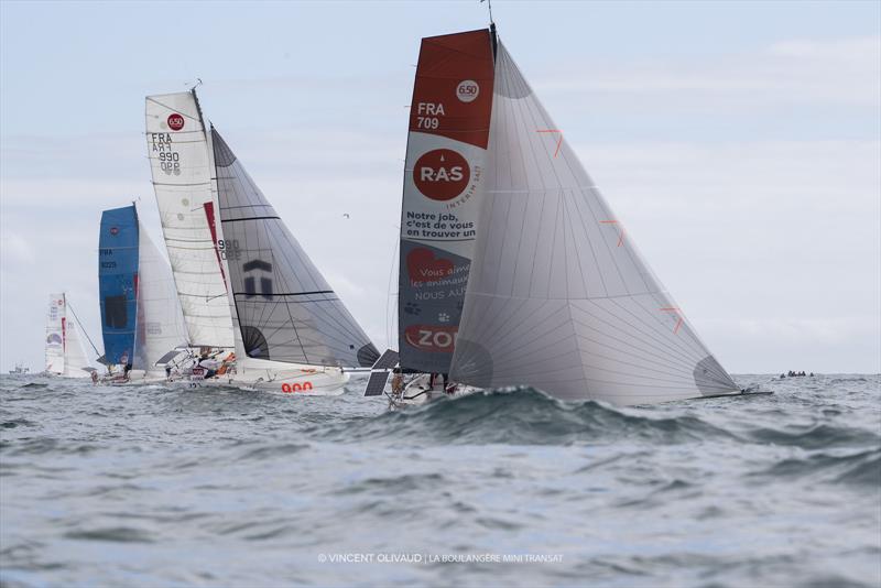 La Boulangère Mini Transat 2023 race start photo copyright Vincent Olivaud / La Boulangère Mini Transat taken at  and featuring the Mini Transat class