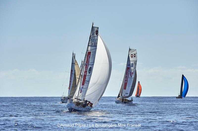 La Boulangère Mini Transat 2023 photo copyright Arnaud Pilpre / La Boulangère Mini Transat 2023 taken at  and featuring the Mini Transat class