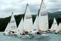 Royal Cargo All Souls Regatta © Terry Duckham