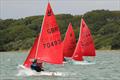 Mirror Southern Championships at Itchenor © Andrew Burge