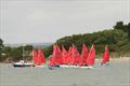 Mirror Southern Championships at Itchenor © Andrew Burge