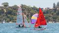 Royal Freshwater Bay Yacht Club International Classes Regatta © Tom Hodge Media
