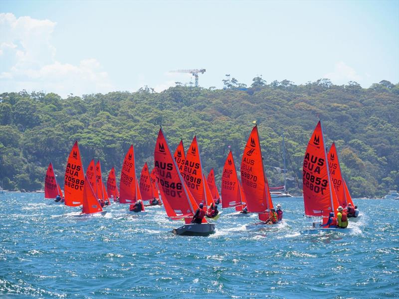 53rd Australian Mirror Nationals and 2019 Pre-Worlds in Sydney photo copyright Robert Owe-Young taken at Woollahra Sailing Club and featuring the Mirror class