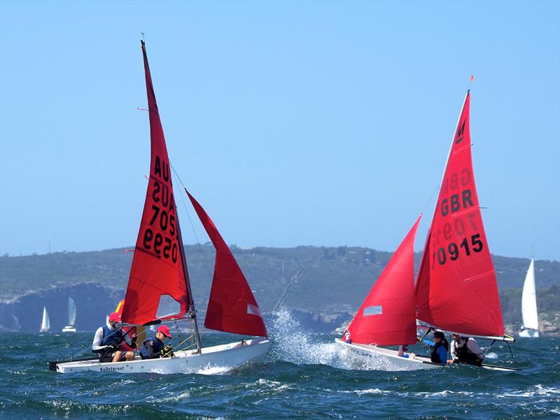 53rd Australian Mirror Nationals and 2019 Pre-Worlds in Sydney photo copyright Robert Owe-Young taken at Woollahra Sailing Club and featuring the Mirror class