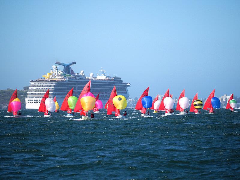 53rd Australian Mirror Nationals and 2019 Pre-Worlds in Sydney photo copyright Robert Owe-Young taken at Woollahra Sailing Club and featuring the Mirror class