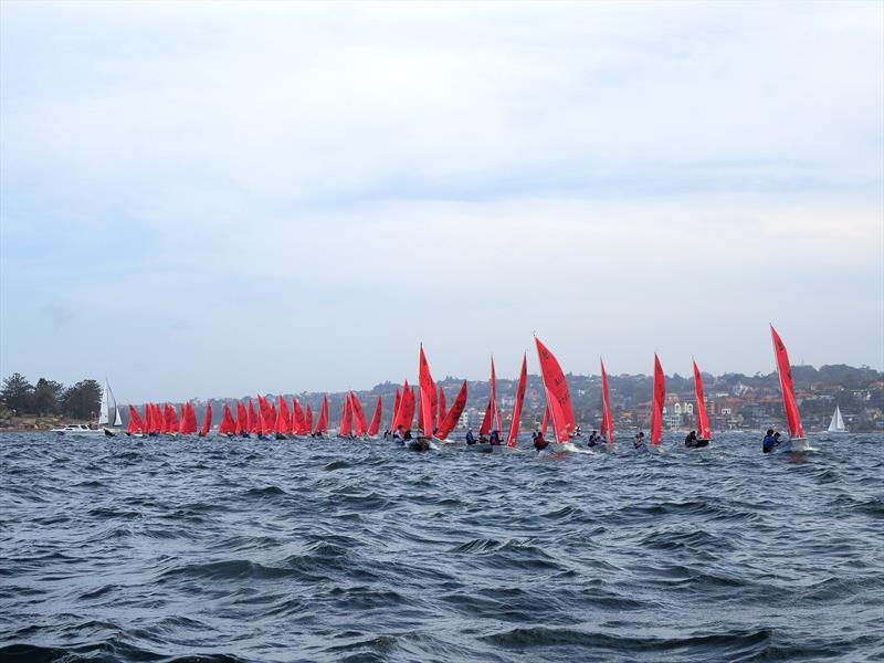 18th Mirror Worlds in Sydney photo copyright Robert Owe-Young taken at Woollahra Sailing Club and featuring the Mirror class