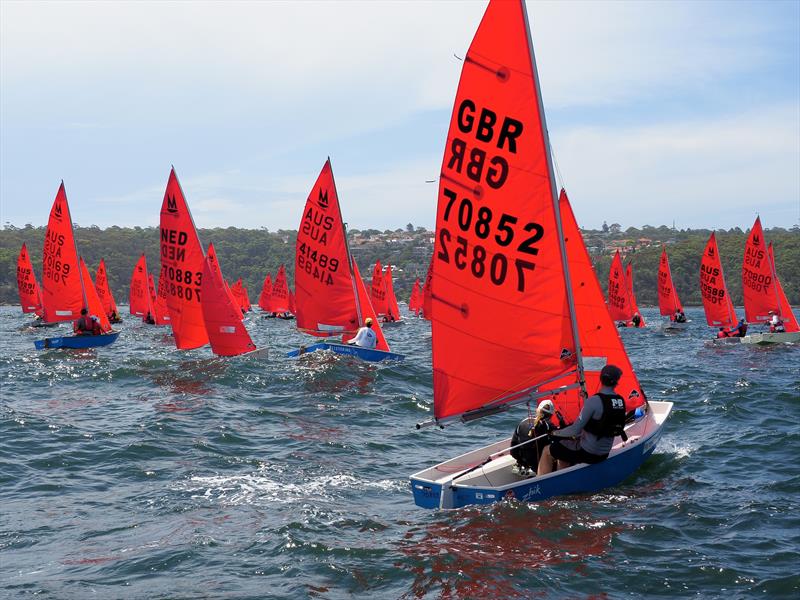 18th Mirror Worlds in Sydney photo copyright Robert Owe-Young taken at Woollahra Sailing Club and featuring the Mirror class